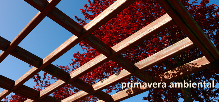 Primavera Ambiental