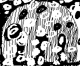 Desenho de Berta A. C&aacute;ccamo