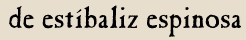 de est&iacute;baliz espinosa