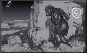 c a p a s   a n t e r i o r e s