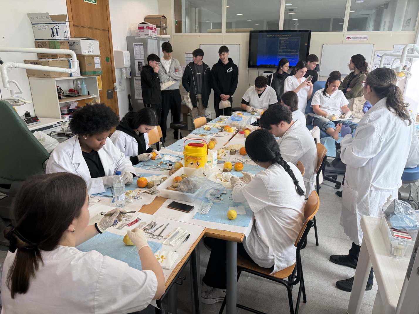 Imagen de la noticia