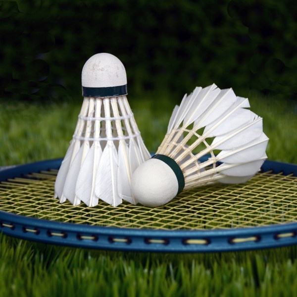 Badminton