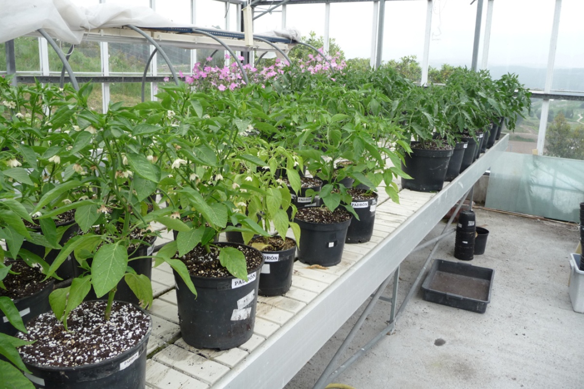 Photography Photography