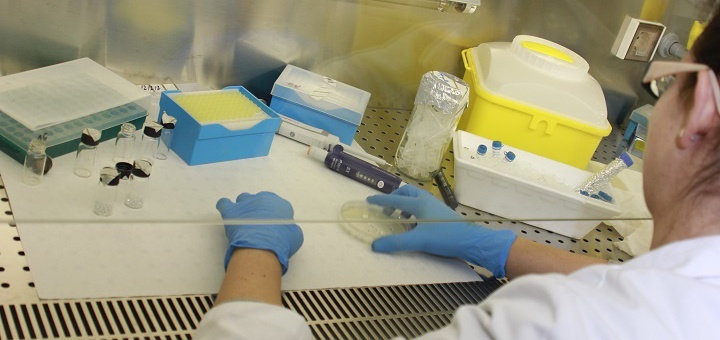 Vicerreitoría de Investigación e Transferencia